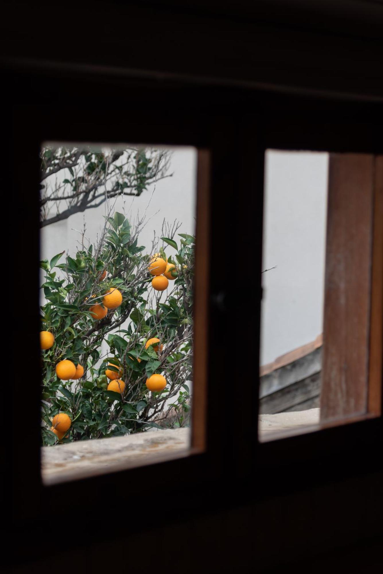 Best Located Duplex Apartment Dubrovnik Eksteriør billede